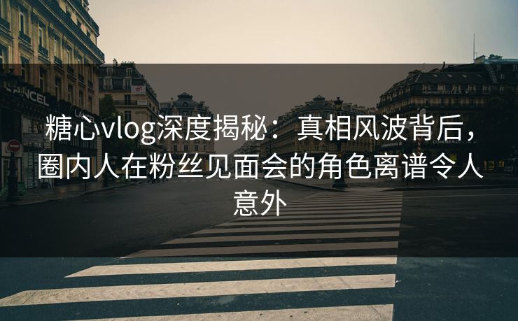 糖心vlog深度揭秘：真相风波背后，圈内人在粉丝见面会的角色离谱令人意外